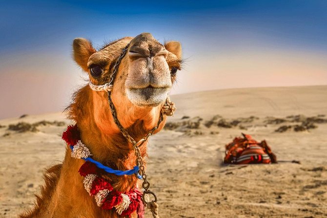 Red Sand VIP Premium Desert Safari