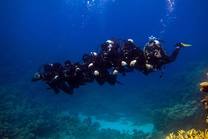 Red Sea Snorkeling - Inclusions and Exclusions