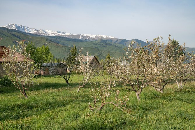 Relax for a Day in Chon-Kemin - Additional Info