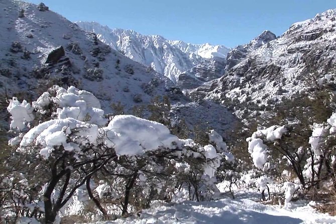 Reservoir Yeso Day Trip From Santiago November to March Only - What To Expect and Restrictions