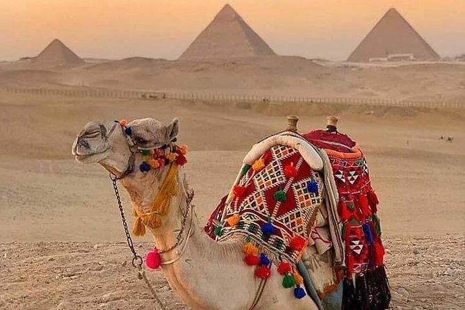 Ride a Camel or Horse at the Pyramids of Giza Area - Tour Details