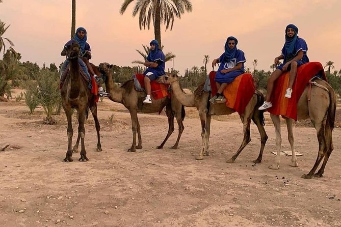 Ride Camels in Marrakech Palm Groves - Additional Information to Know
