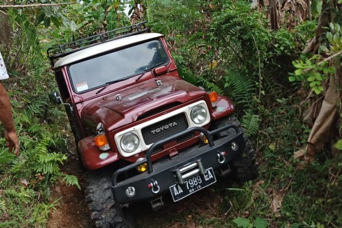 River Of Adventure Tour - Additional Info