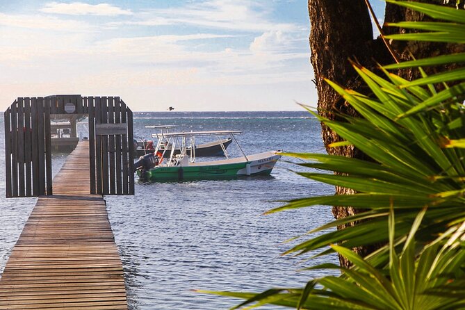 Roatan Reef Discovery Full- Day Trip -3 Dives - Directions and Location
