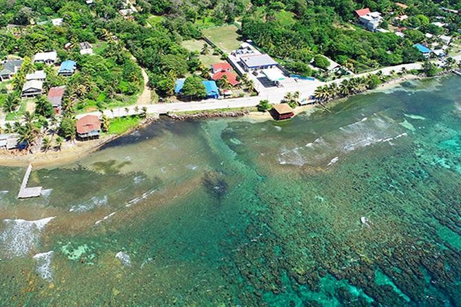 Roatan Scuba Shore Diving Plus Transportation - Tips for a Great Experience