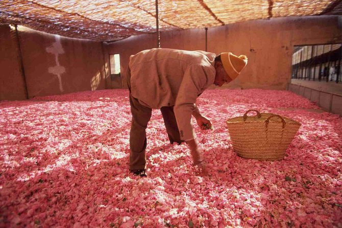 Roses Valley and Mgoun Trekking - Trip Overview