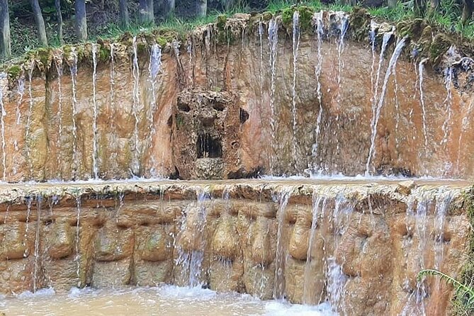 Route of the Faces - Tree Waterfall, Hot Springs - Tour Schedule