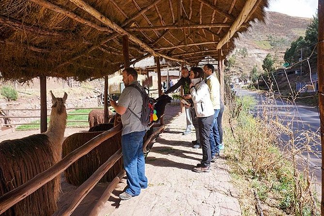 Sacred Valley Tour Full Day Cusco - Private Service - Inclusions and Amenities