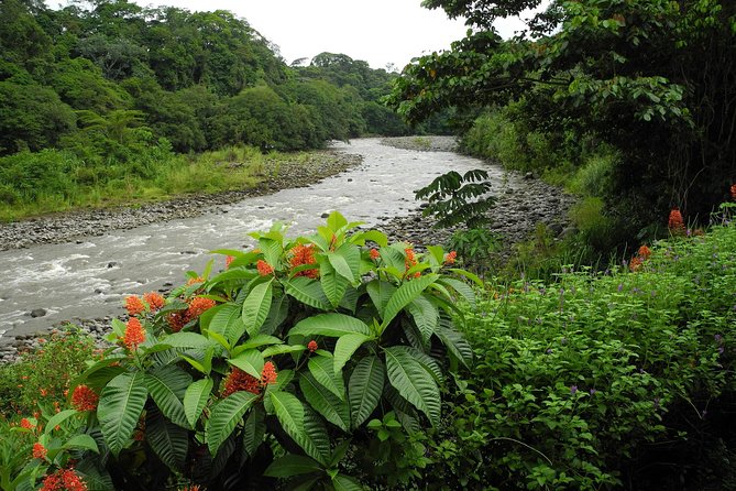 Safari Float Sarapiqui River From Sarapiquí - What to Bring Along