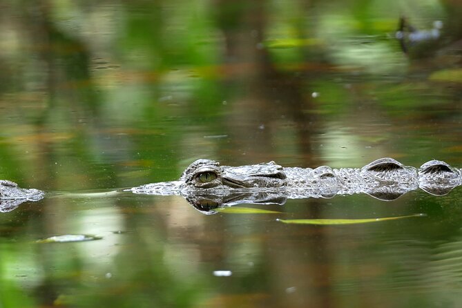 Safari Floating Tour From Arenal - Health and Accessibility