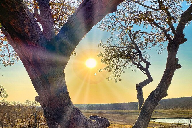 Safari Game Drive in National Park, Zimbabwe - Cancellation Policy