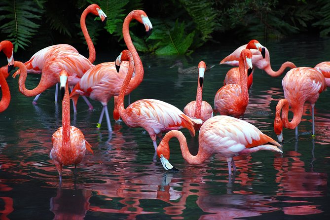 Safari in Selous: 02 Night 03 Days Safari – Full Board - Pricing and Booking