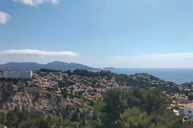 Safari in Vibrant Marseille and Wine Tour in Sainte Victoire - Operator and Price