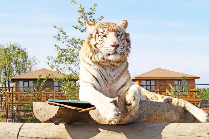 Safari Park - Weather Policy and Guarantee