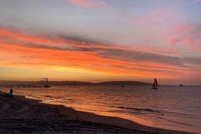 Sail on a Catamaran and Discover Paracas Bay - Booking Information and Process