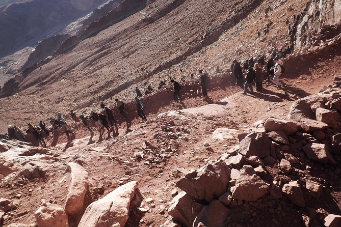 Saint Catherine Monastery by Bus With Professional Guide - Sharm El-Sheikh - Tour Logistics and Details