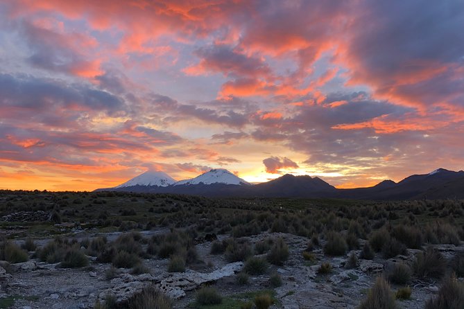 Sajama 2-Day Private Tour Service With English Speaking Guide - Inclusions and Amenities