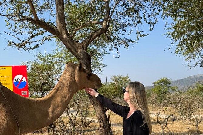 Salalah Half-Day Private Tour in the East - Pricing and Reservation Details