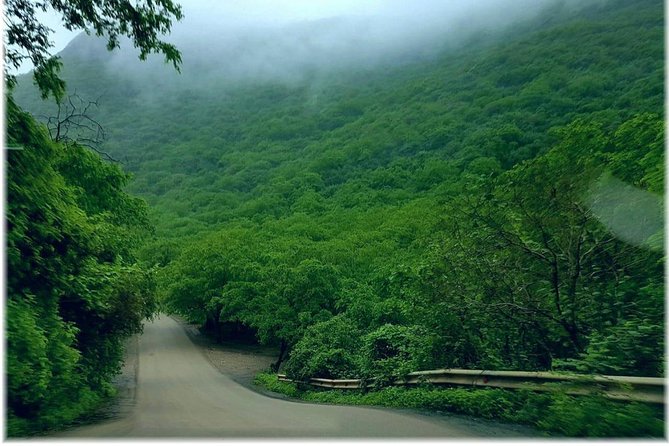 Salalah Mountain Jungle Safari Tour (Full Day Tour) - Pickup Details