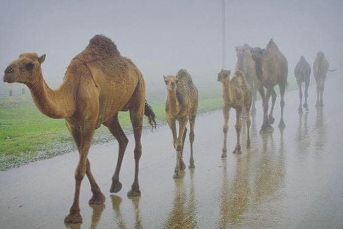 Salalah West Tour 2 Long Way Drive in Mountains Full Day Tour