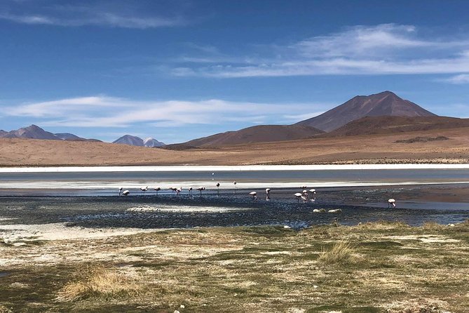 Salar De Uyuni. 2 Days 1 Night. Spanish Guide. Volcan Tunupa Ruta. Private Tour! - Activity Guidelines
