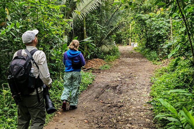 Salento: Birding by the River - Meeting Point