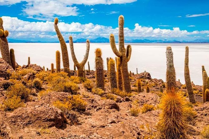 SALT FLATS TOUR UYUNI - 1 DAY | Including English Speaking Guide - Start Time and Group Size