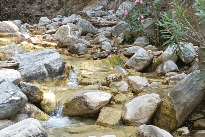 Samaria Gorge Private Transfer From Chania - Price and Booking