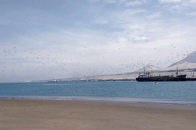 Sandboarding in Salaverry Trujillo - Group Size and Price