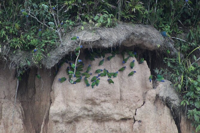 Sandoval, Collpita De Loros and Adventure 4 Days / 3 Nights - Operating Hours and Dates