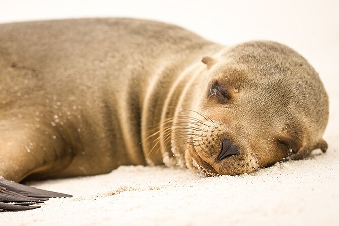Santa Fé Island on Board of Sea Lion Yacht - End Point and Ticket Redemption