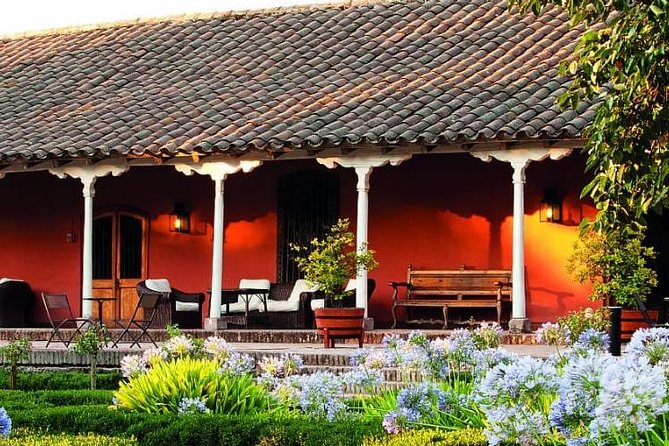 Santa Rita Vineyard Tour - Reviews