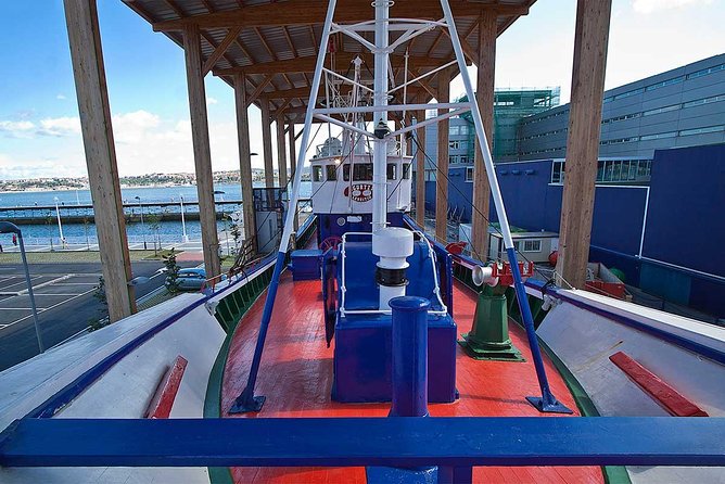 Santurtzi Pretty Coastal Town - What to Expect During the Tour