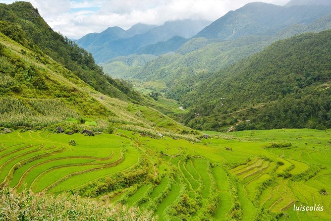 Sapa Trek Tours -2D1N Stay At 4*** - TRANSFER BY LIMOUSINE VAN - Price and Booking