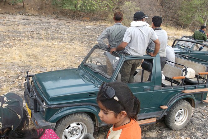 Sariska Wild Life Tour By Private Car With Jungle Safari Gypsy - Terms and Conditions