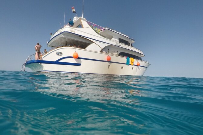 Satayeh Reef Swim With Dolphin and Snorkeling Sea Trip -Marsa Alam - Inclusions