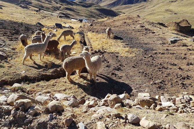 Saturday Hikes (Group Departures) - Location and Transportation Details