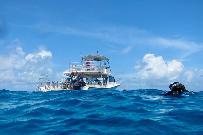 Scuba Diving for Beginners - Basic Scuba Diving Techniques
