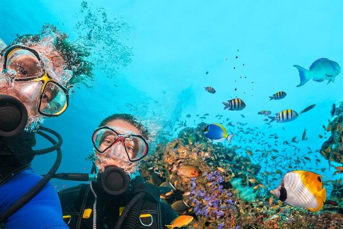 Scuba Diving in the Red Sea - Price and Availability