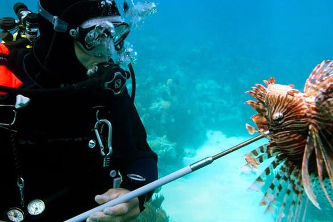 Scuba Diving Sustainable Lion Fish Spearfishing - Additional Information