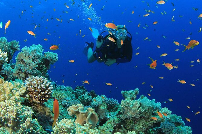 Scuba Diving Tour and Experience in Alanya - Booking Information