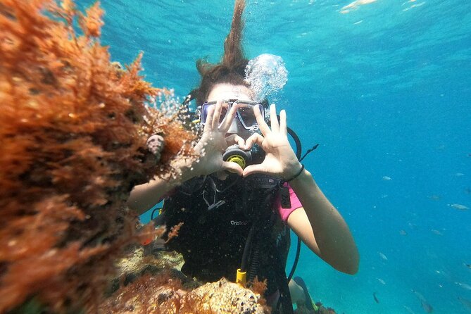 Scuba Diving Tour With Lunch in Alanya - Pricing and Reservation