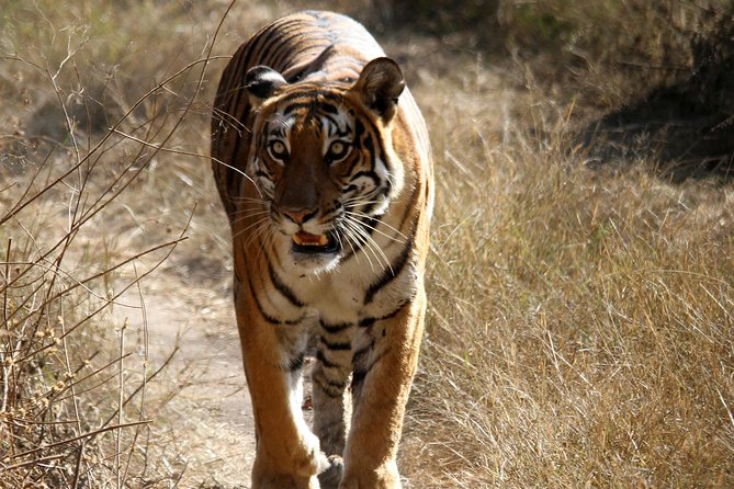 Secrets of Indias North East Revealed - Unique Wildlife Encounters