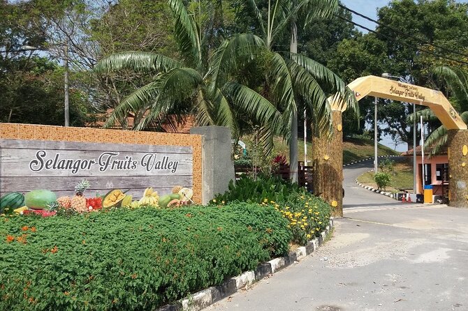 Selangor Full Day Tour With Batu Caves, Blue Mosque, Fruit Valley, Malawati Hill - What To Expect During the Tour