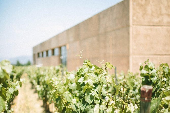Self Drive Experience in Colchagua Valley, 4 Days - Car Rental Information