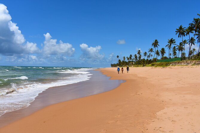 Serenity Shore Stroll Jauá Beach, Visit a Hidden Gem. - Itinerary and Highlights