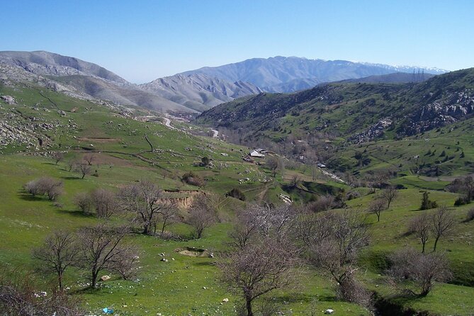 Shahrisabz Private Excursion From Samarkand. - Scenic Drives and Cultural Insights