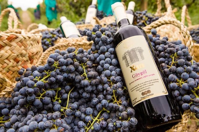 Shamakhi Wine Tour - Pickup Information