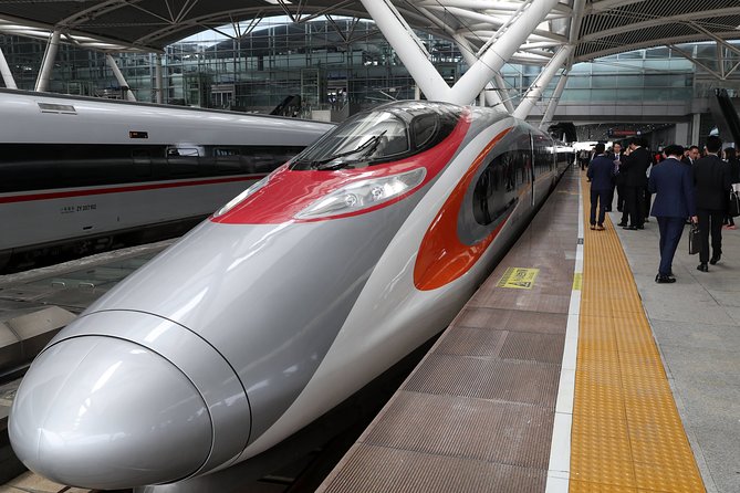 Shanghai Train Station Private Arrival Transfer to Hotel in English Services - Pricing Details