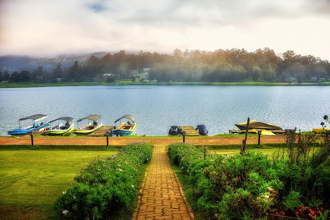 Shanthipura and Nuwara Eliya Day Tour From Kandy - Price and Booking